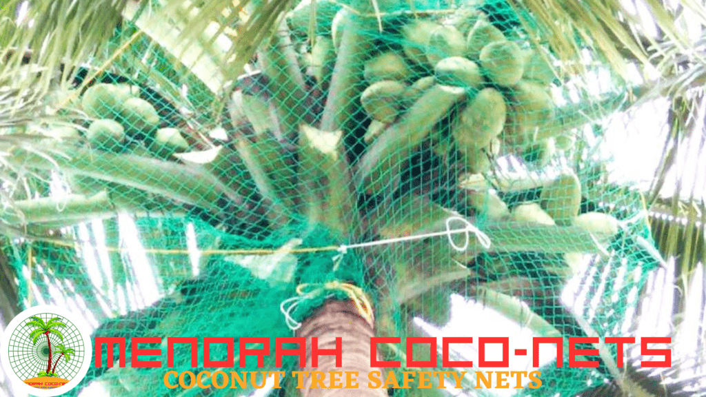 coconut tree safety nets
