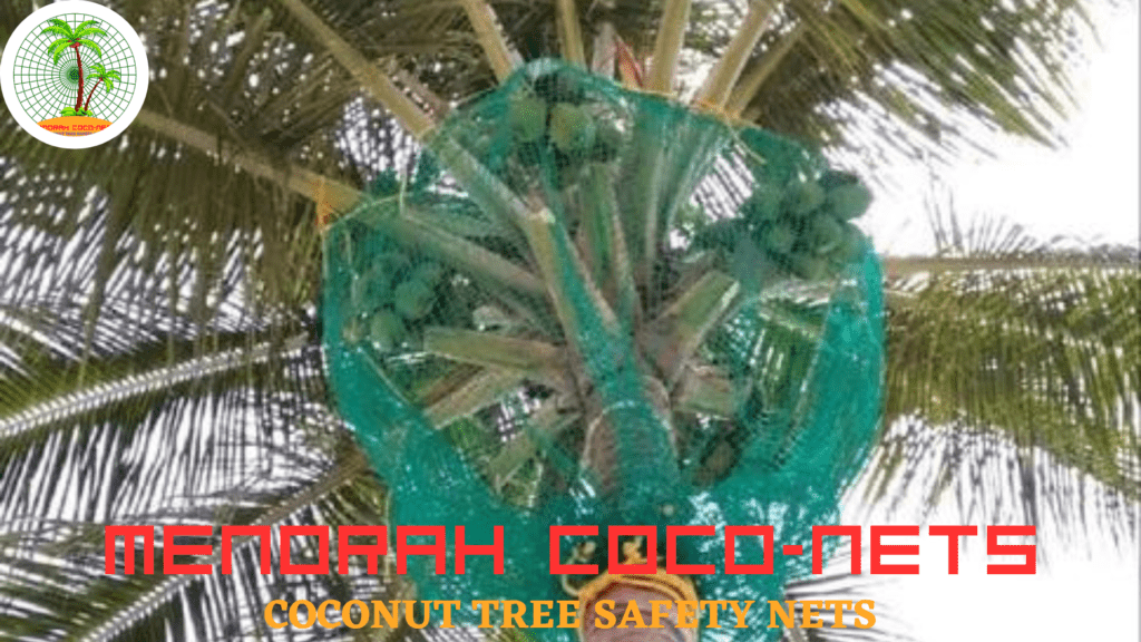 coconut tree safety nets bangalore - menorah coconets